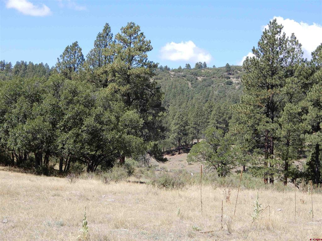 775 Banded Peaks Drive Pagosa Springs CO 81147
