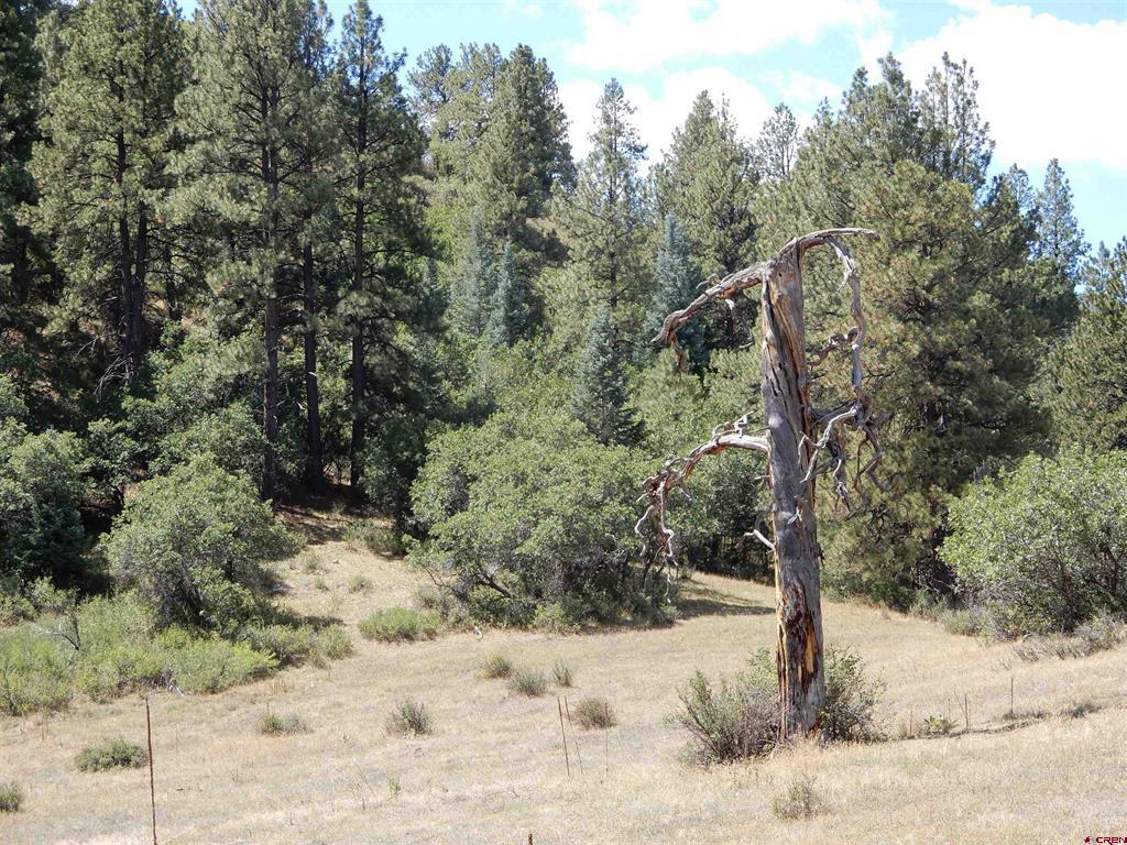 775 Banded Peaks Drive Pagosa Springs CO 81147