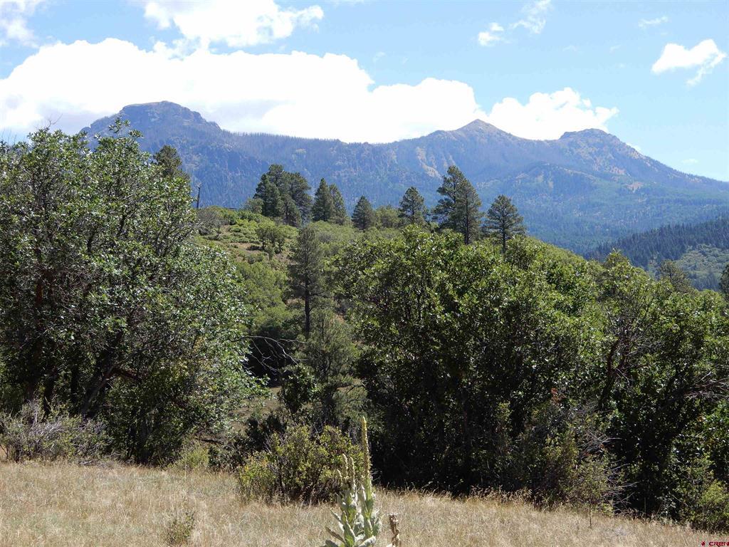 775 Banded Peaks Drive Pagosa Springs CO 81147