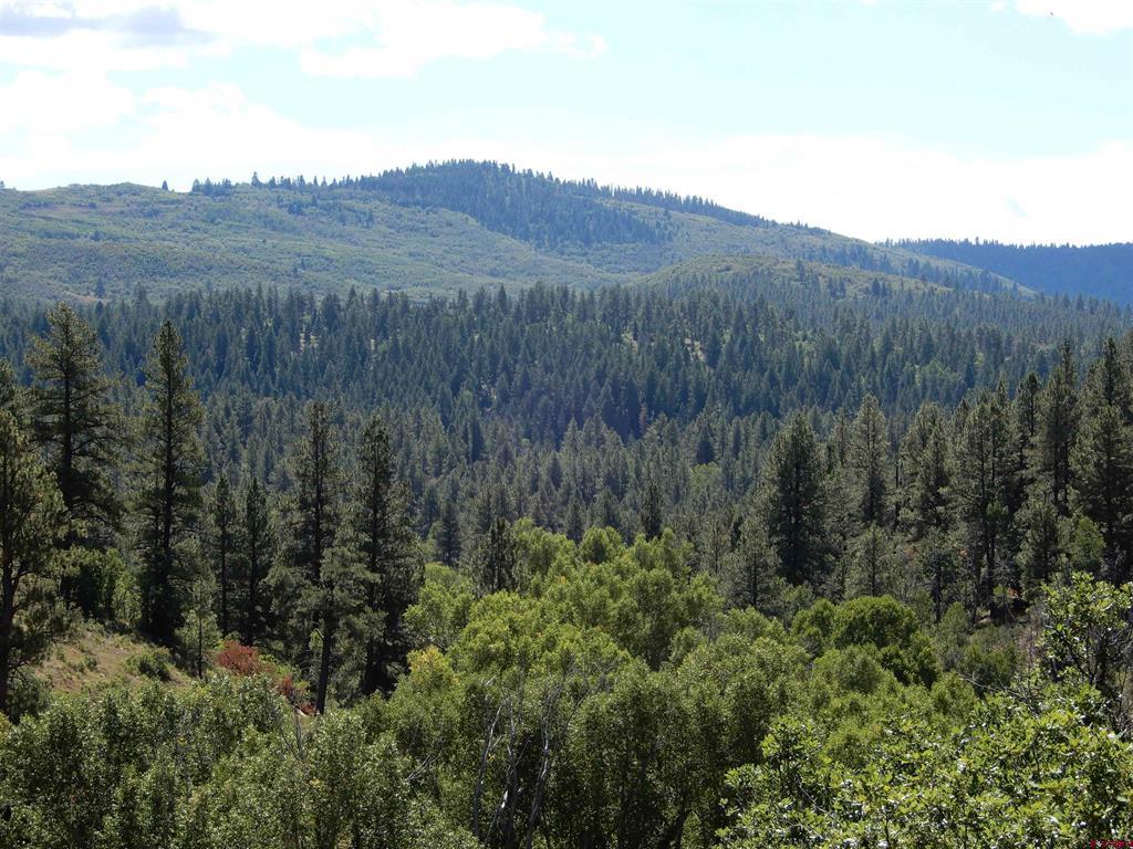 775 Banded Peaks Drive Pagosa Springs CO 81147