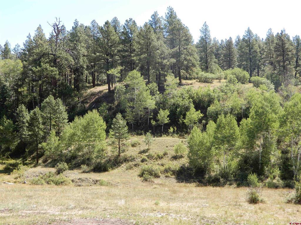 775 Banded Peaks Drive Pagosa Springs CO 81147