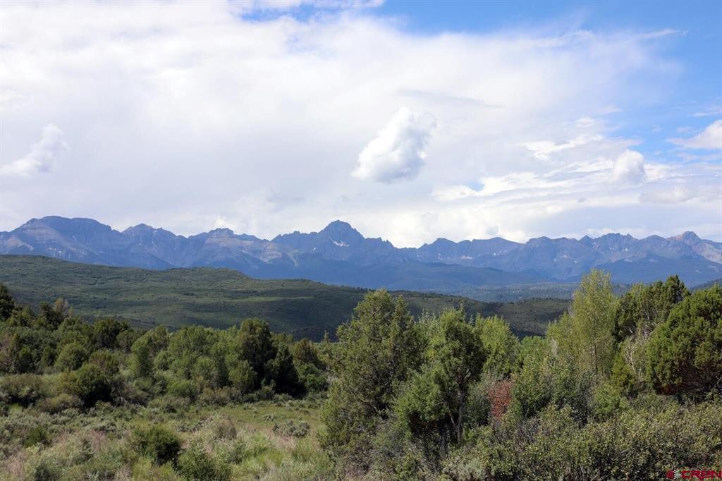 2879 County Road 10 Road Ridgway CO 81432