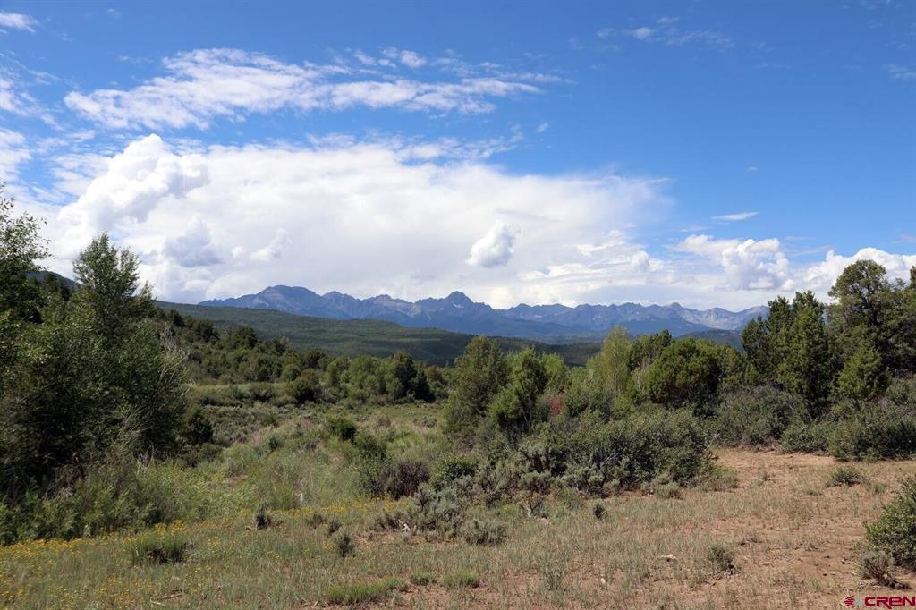 2879 County Road 10 Road Ridgway CO 81432