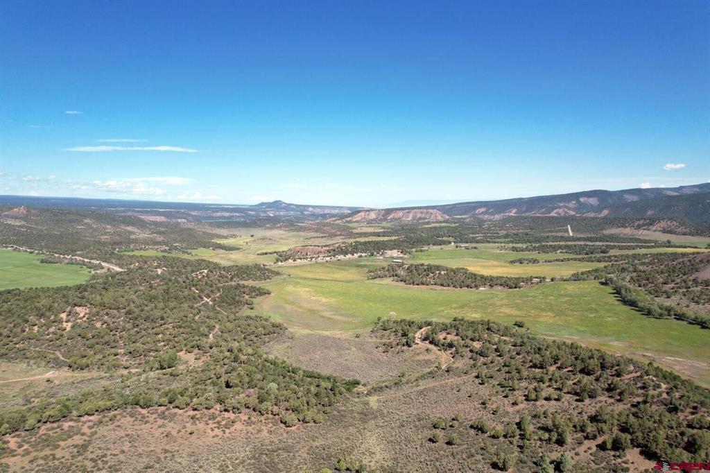 2879 County Road 10 Road Ridgway CO 81432