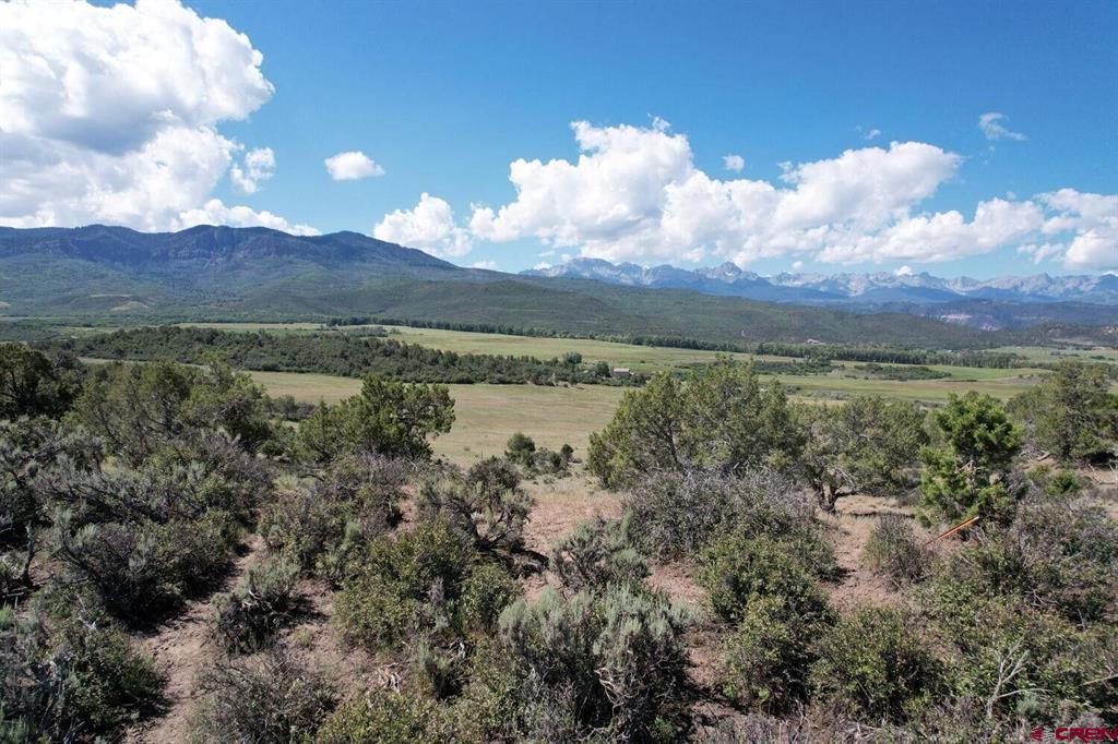 2879 County Road 10 Road Ridgway CO 81432