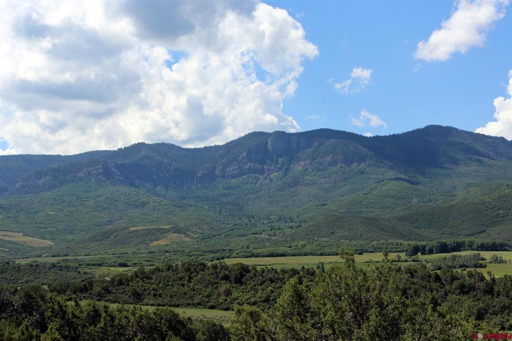 2879 County Road 10 Road Ridgway CO 81432