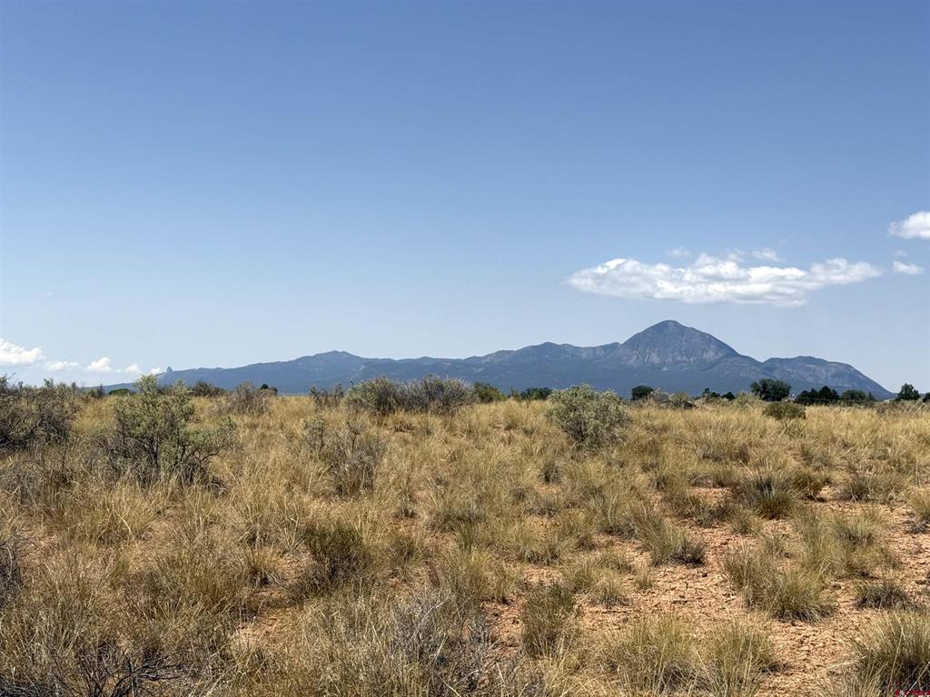 Tbd Corri Court Cortez CO 81321