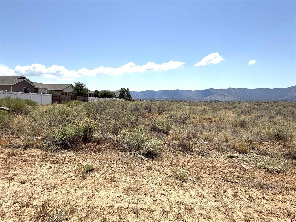 Tbd Corri Court Cortez CO 81321