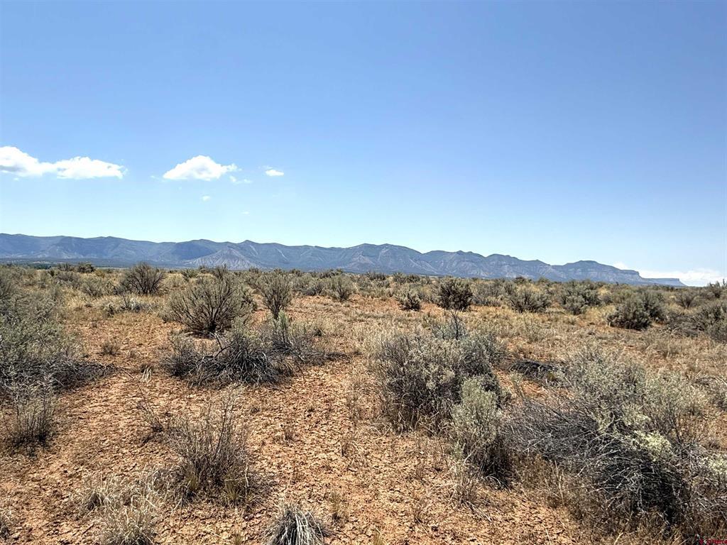Tbd Corri Court Cortez CO 81321