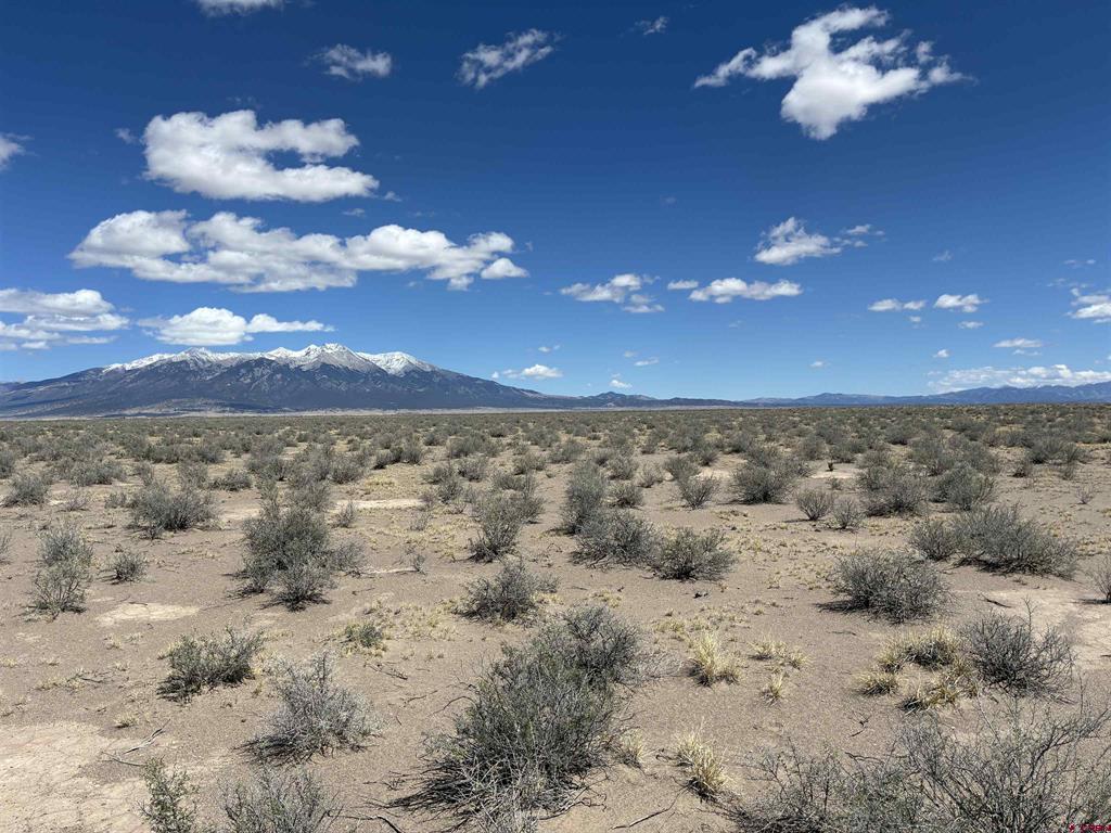 Tbd Birch Avenue Alamosa CO 81101