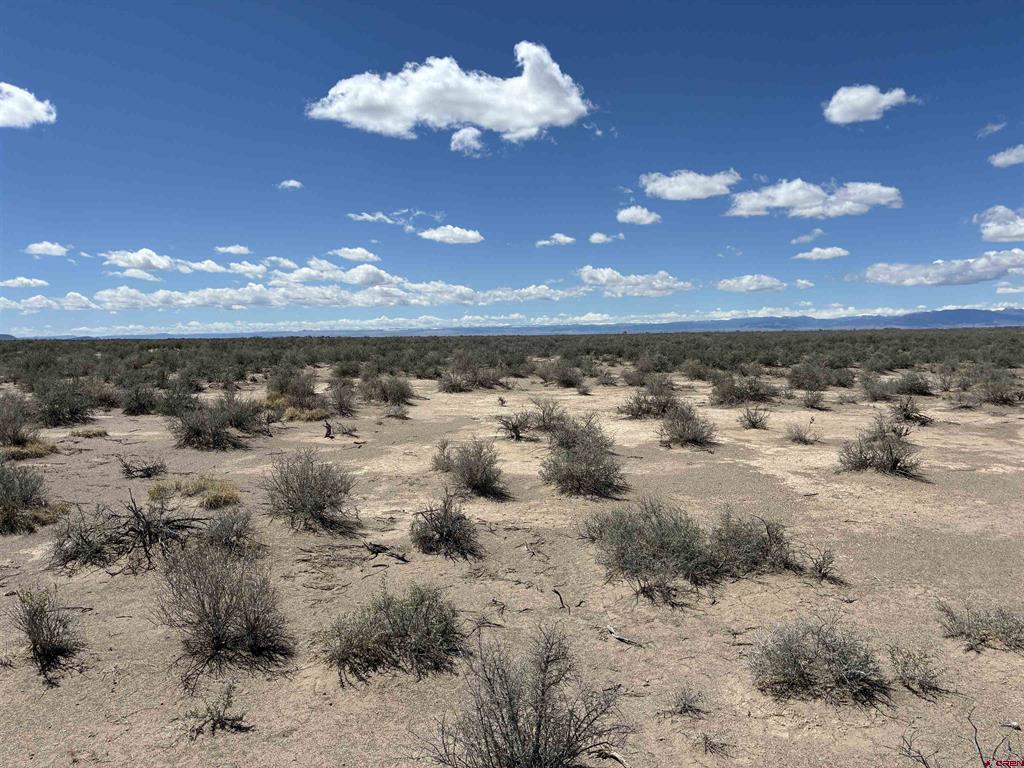 Tbd Birch Avenue Alamosa CO 81101