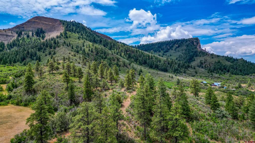 1030D County Road 139 Pagosa Springs CO 81147