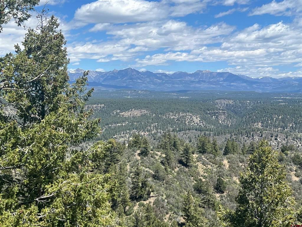 1030D County Road 139 Pagosa Springs CO 81147