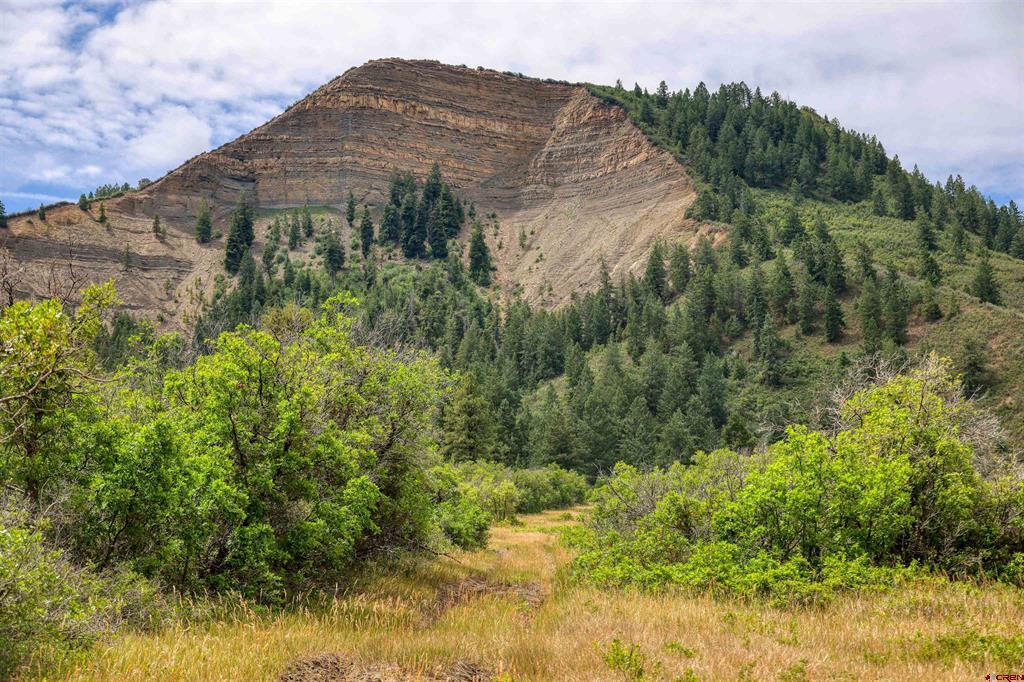 1030D County Road 139 Pagosa Springs CO 81147