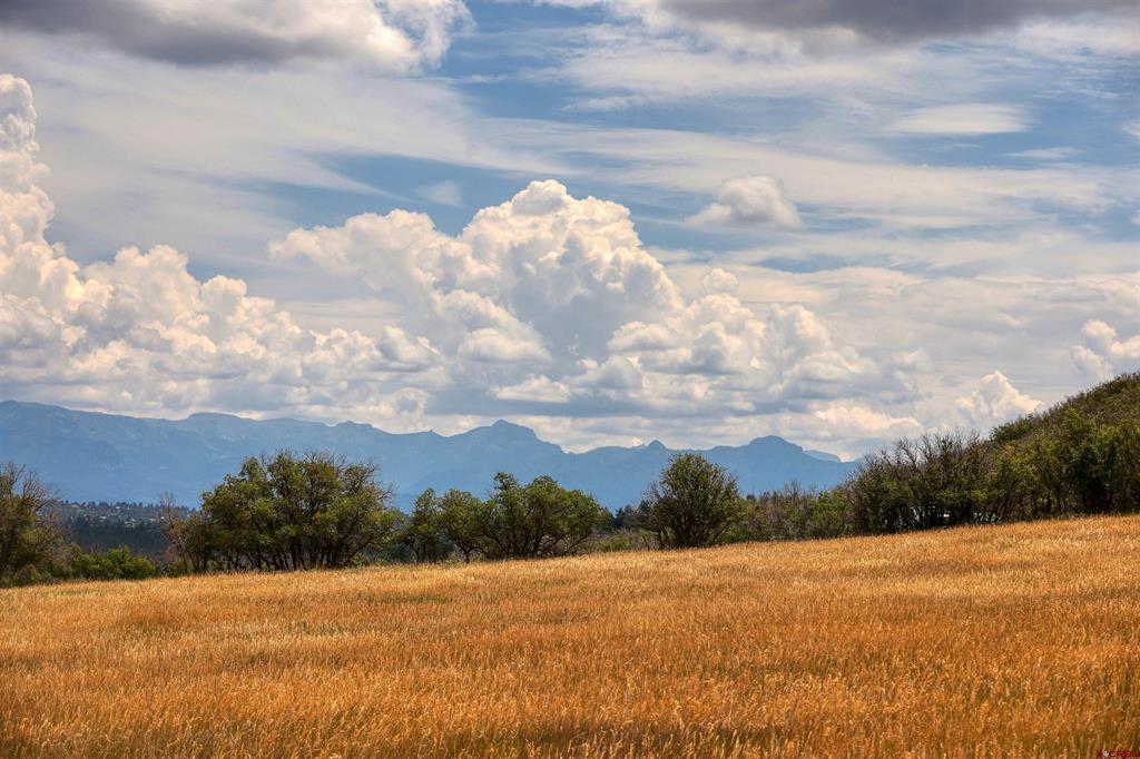 1030D County Road 139 Pagosa Springs CO 81147