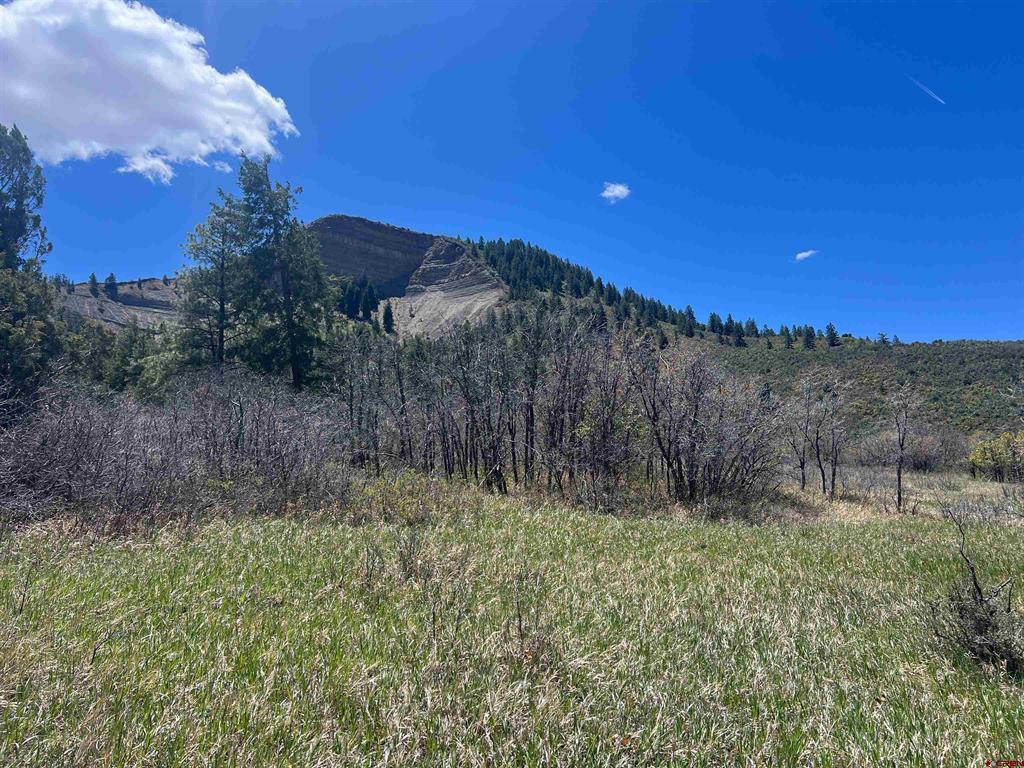 1030D County Road 139 Pagosa Springs CO 81147