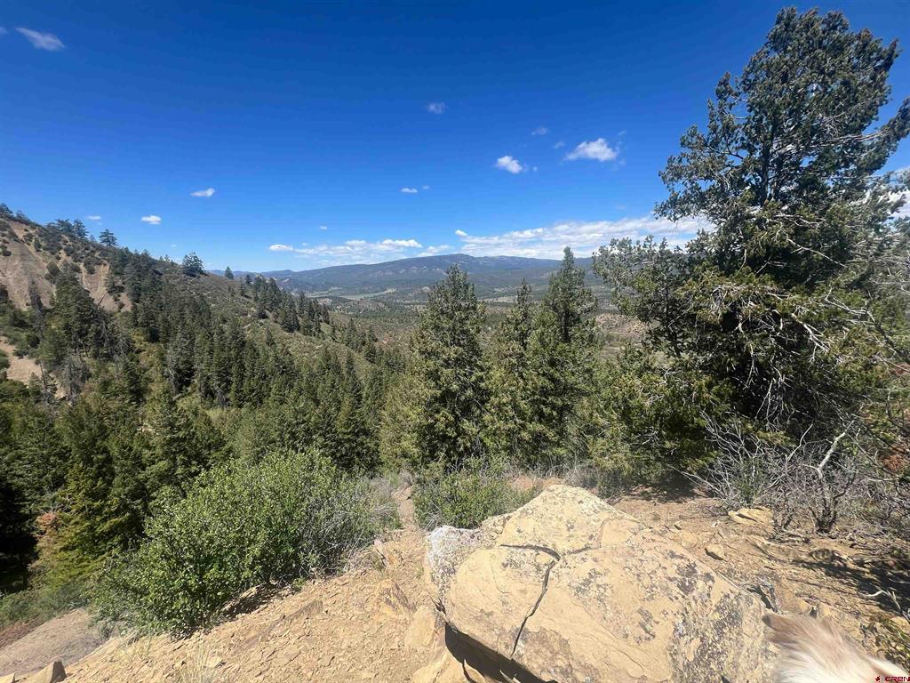 1030D County Road 139 Pagosa Springs CO 81147