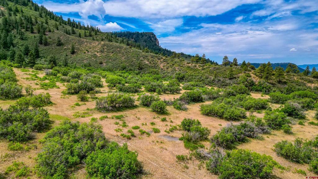 1030D County Road 139 Pagosa Springs CO 81147