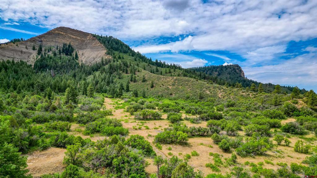 1030D County Road 139 Pagosa Springs CO 81147