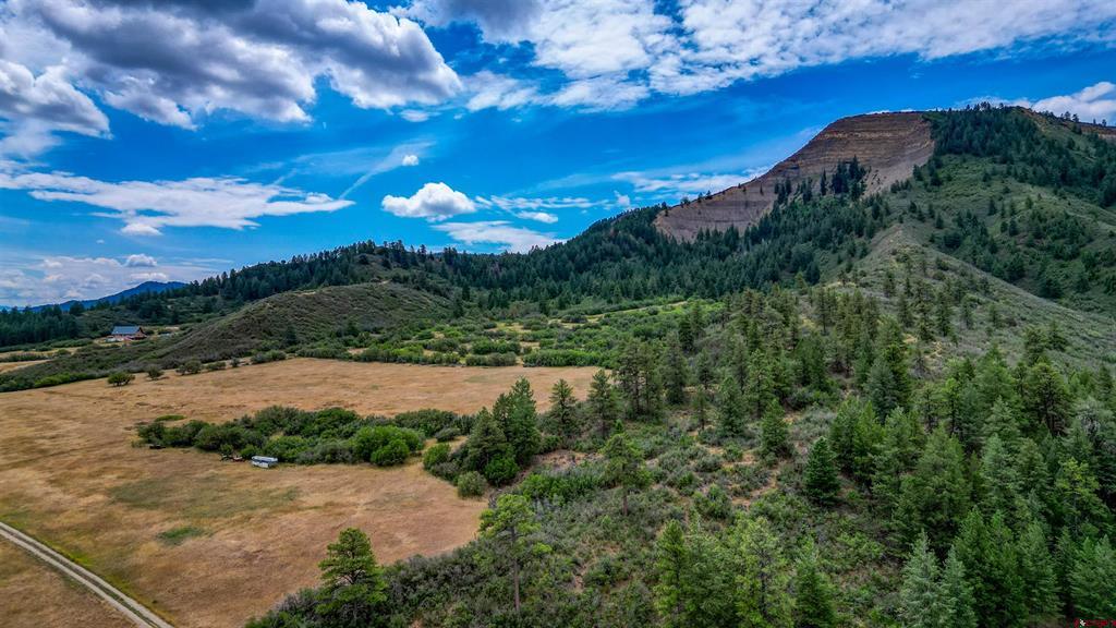 1030D County Road 139 Pagosa Springs CO 81147