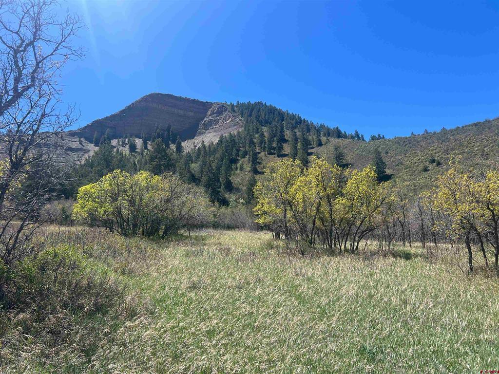 1030D County Road 139 Pagosa Springs CO 81147