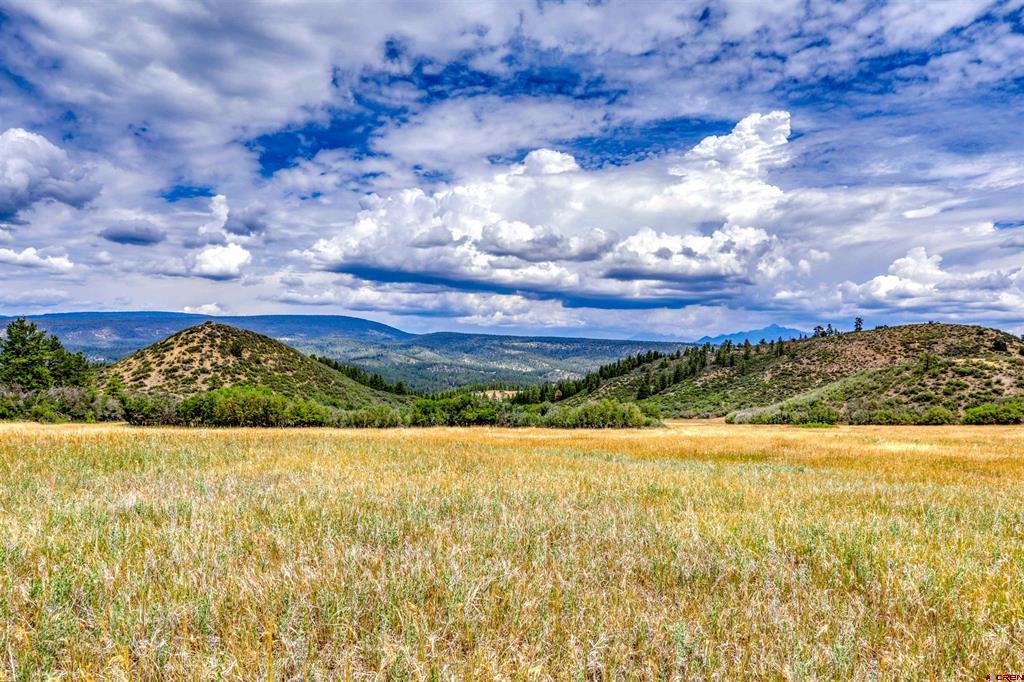 1030D County Road 139 Pagosa Springs CO 81147
