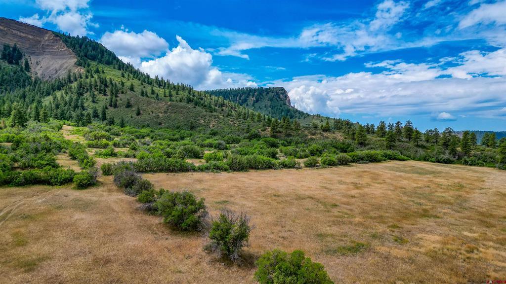 1030D County Road 139 Pagosa Springs CO 81147