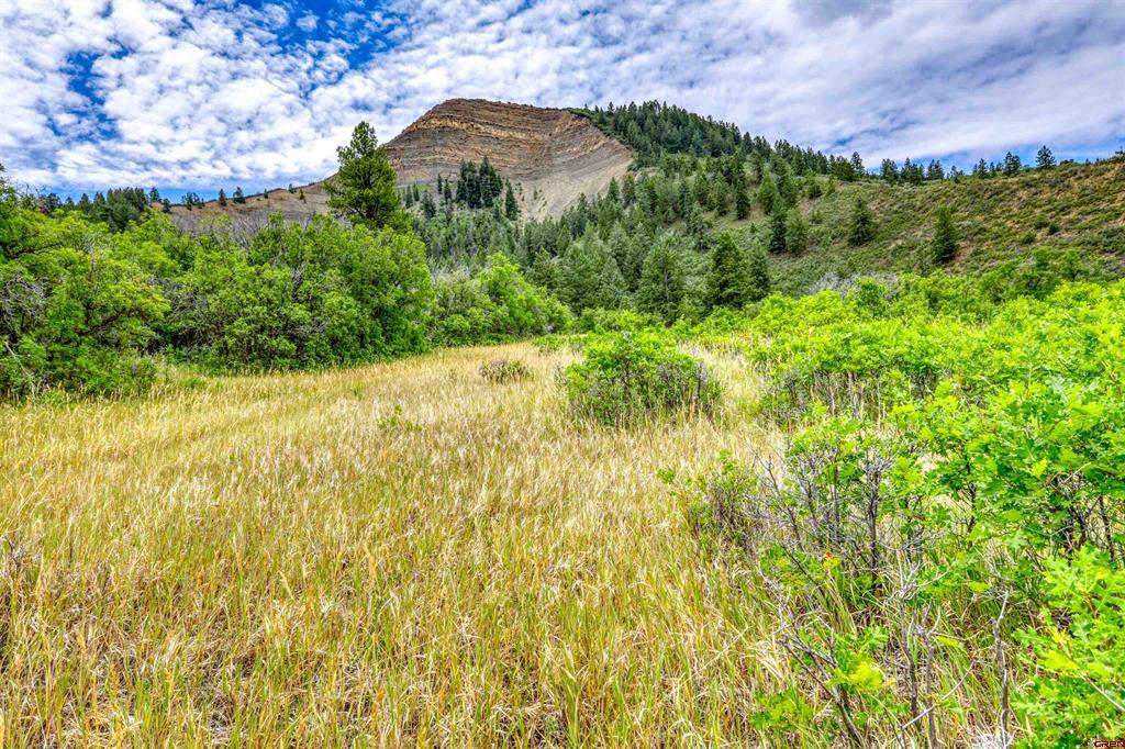 1030D County Road 139 Pagosa Springs CO 81147