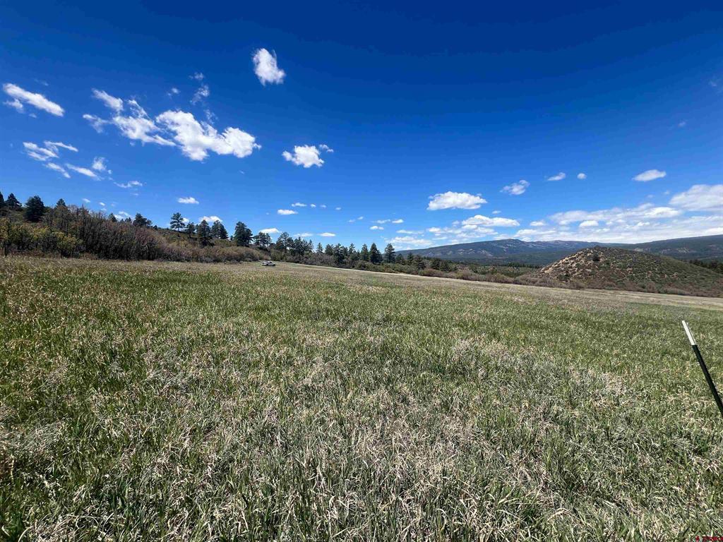 1030D County Road 139 Pagosa Springs CO 81147