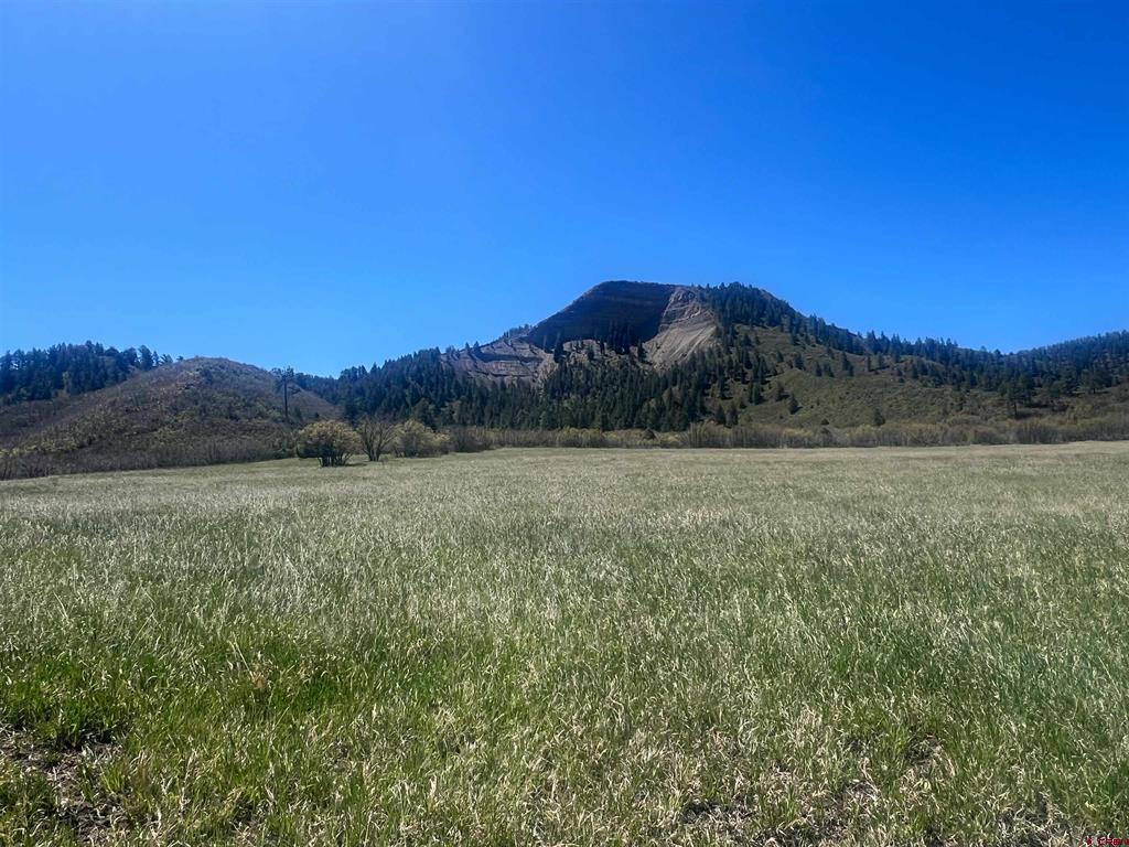 1030D County Road 139 Pagosa Springs CO 81147
