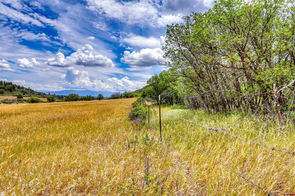 1030D County Road 139 Pagosa Springs CO 81147