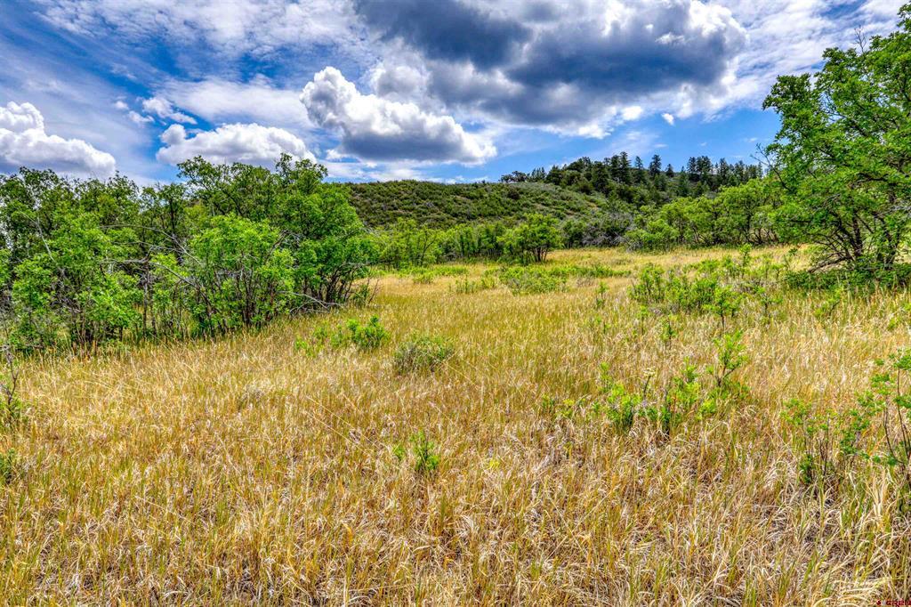 1030D County Road 139 Pagosa Springs CO 81147