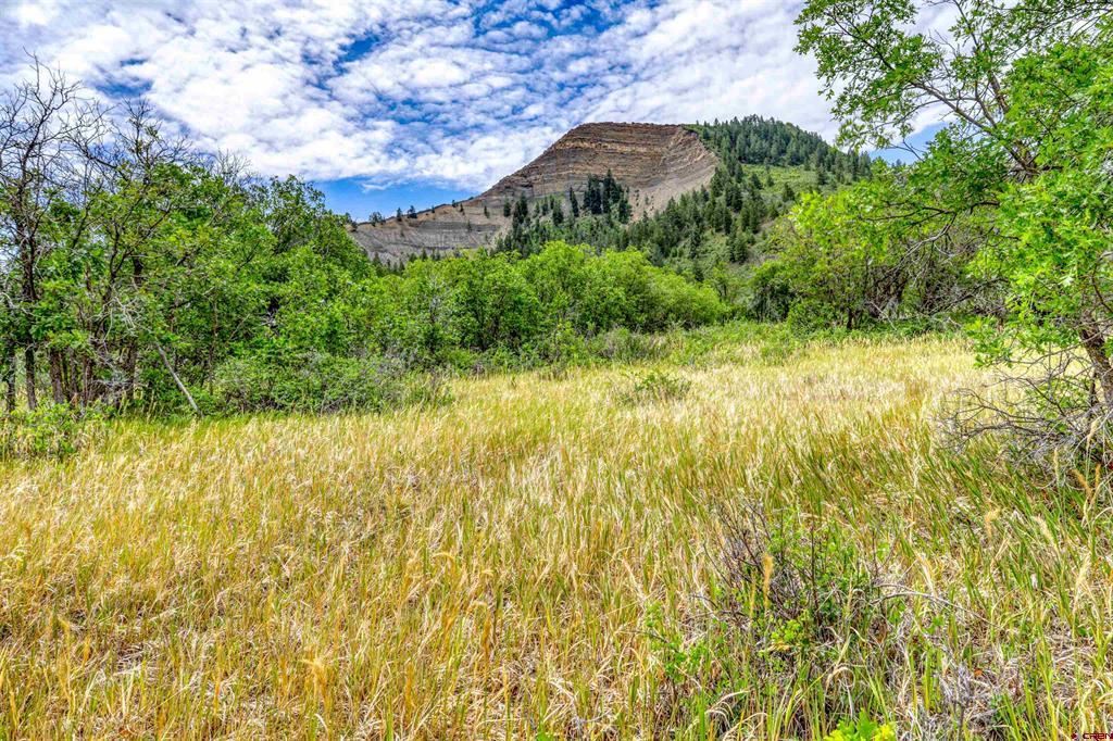 1030D County Road 139 Pagosa Springs CO 81147