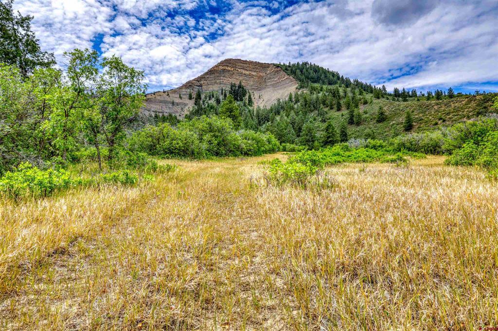 1030D County Road 139 Pagosa Springs CO 81147