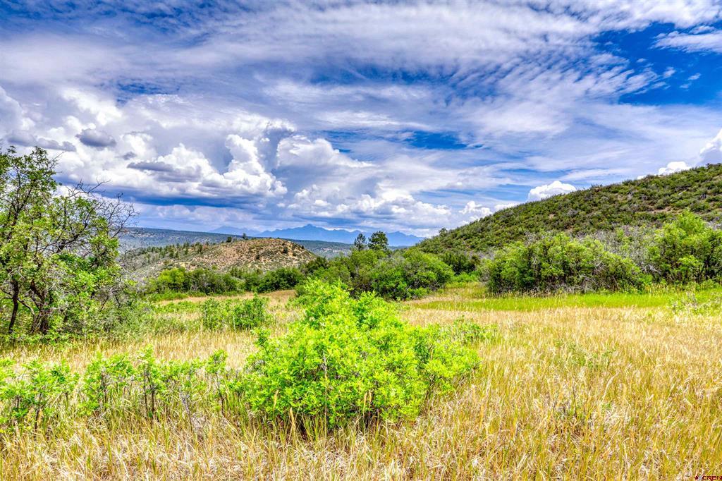 1030D County Road 139 Pagosa Springs CO 81147