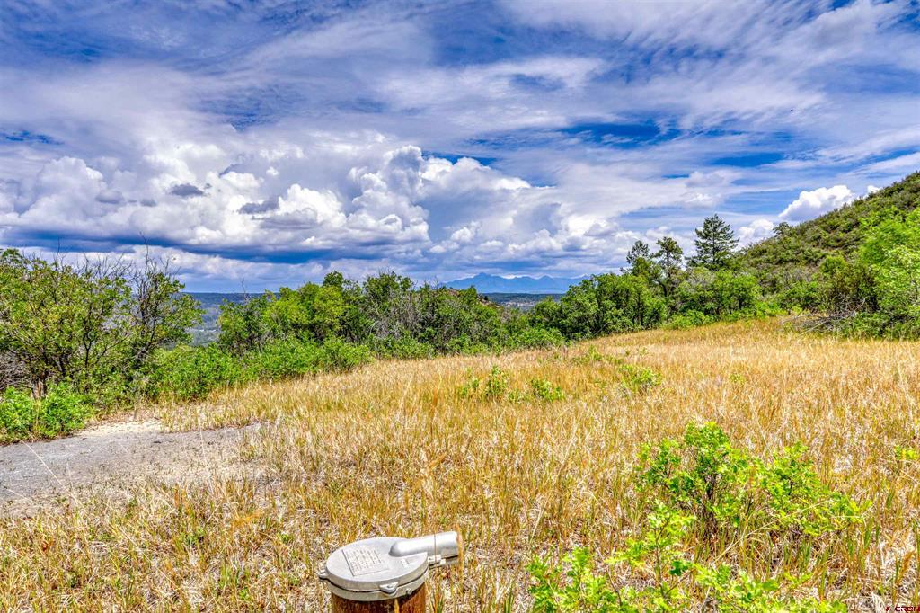 1030D County Road 139 Pagosa Springs CO 81147