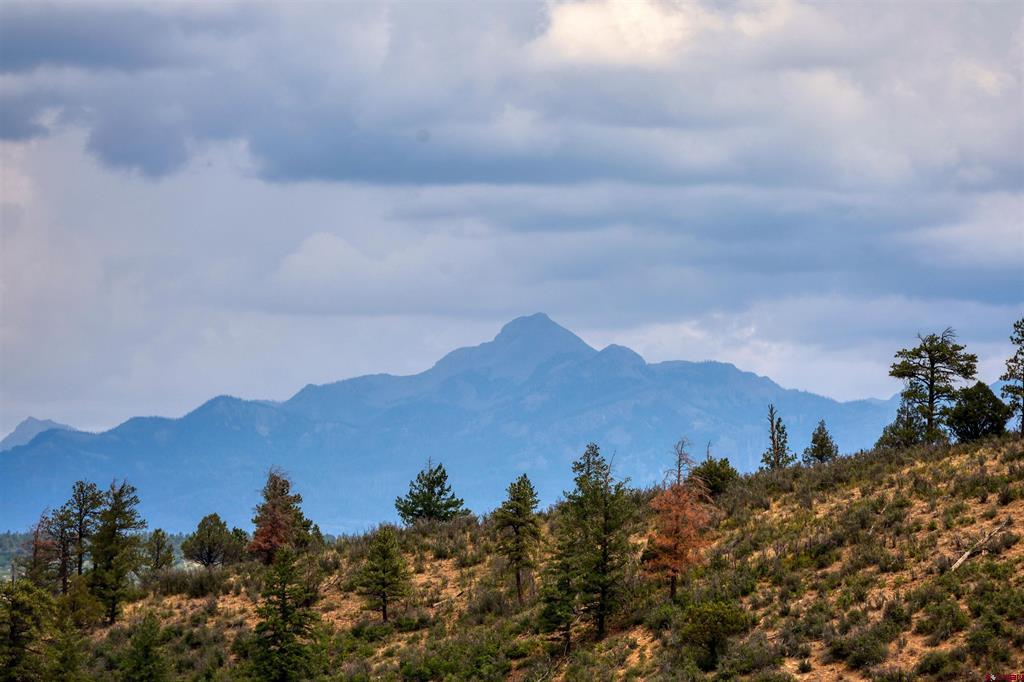 1030D County Road 139 Pagosa Springs CO 81147