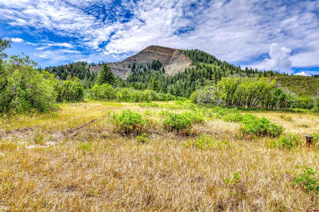 1030D County Road 139 Pagosa Springs CO 81147