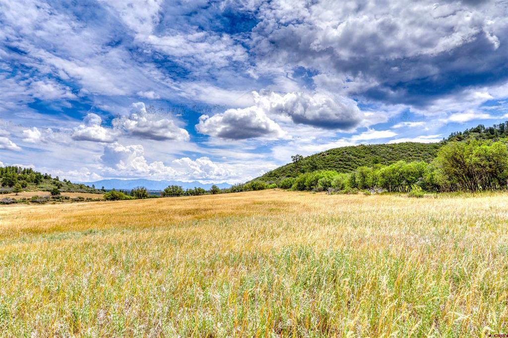 1030D County Road 139 Pagosa Springs CO 81147