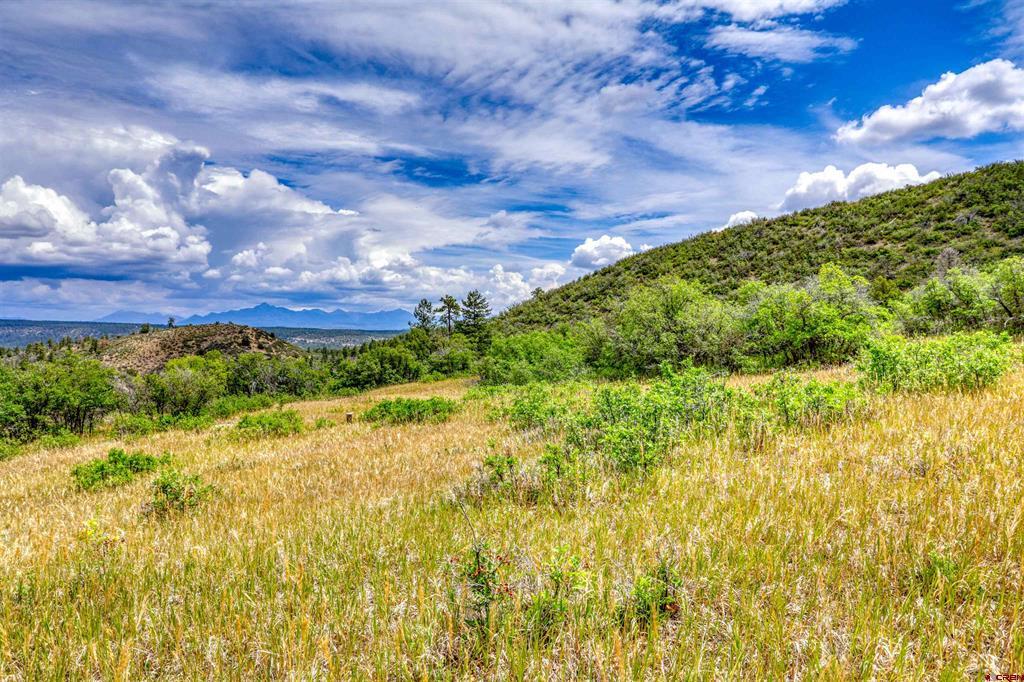 1030D County Road 139 Pagosa Springs CO 81147