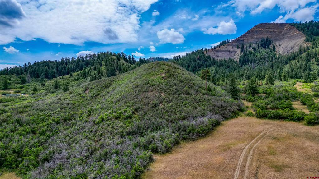 1030D County Road 139 Pagosa Springs CO 81147