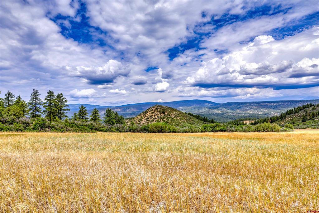 1030D County Road 139 Pagosa Springs CO 81147