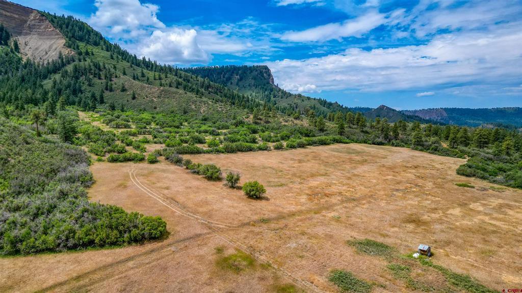1030D County Road 139 Pagosa Springs CO 81147