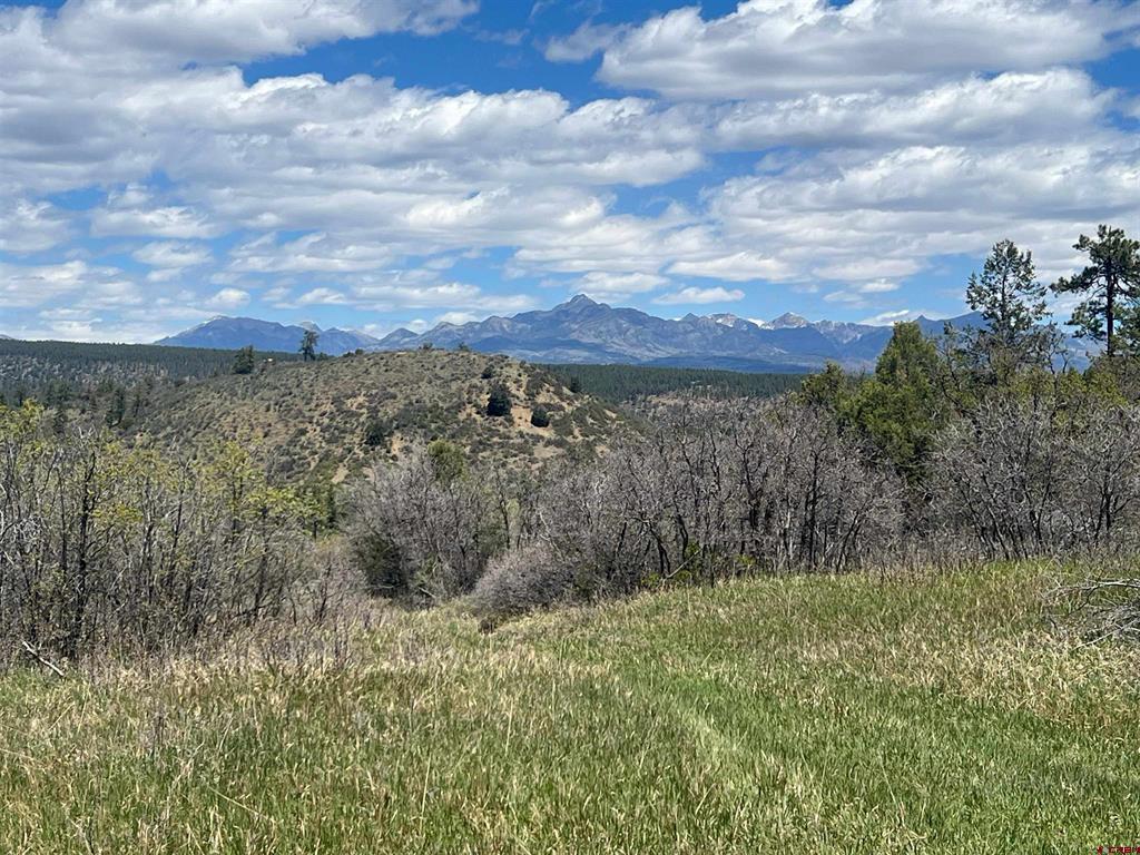 1030D County Road 139 Pagosa Springs CO 81147