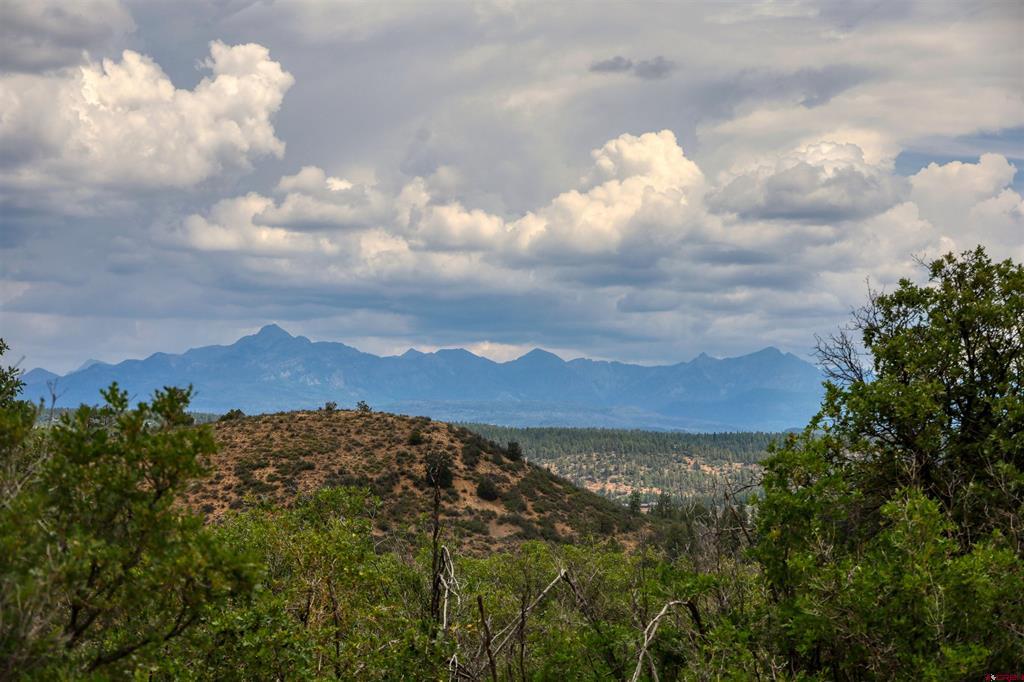 1030D County Road 139 Pagosa Springs CO 81147