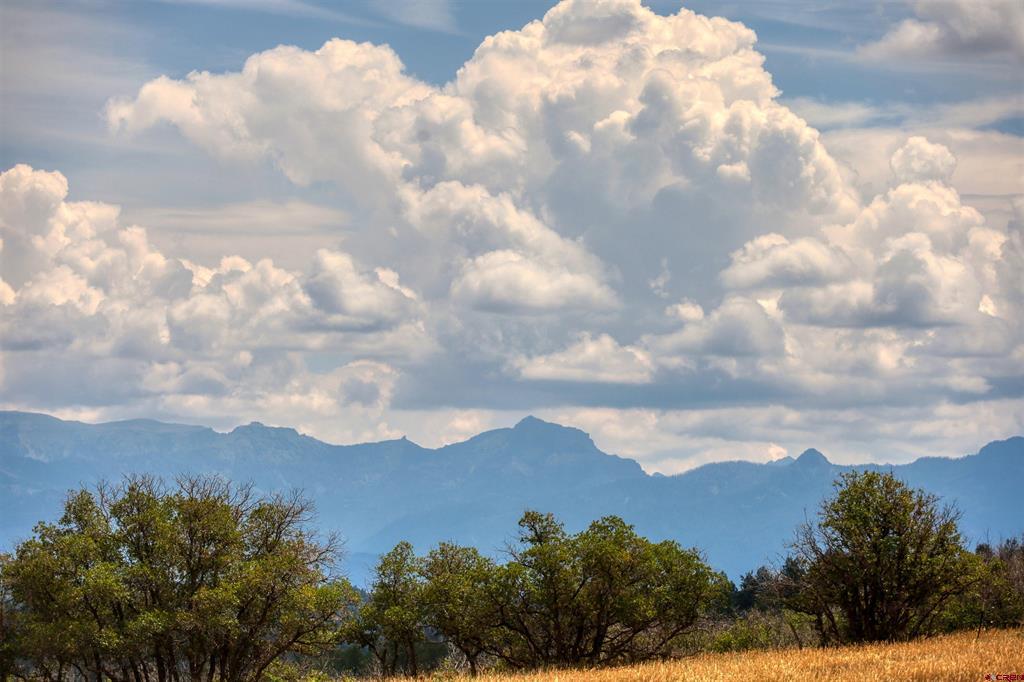 1030D County Road 139 Pagosa Springs CO 81147