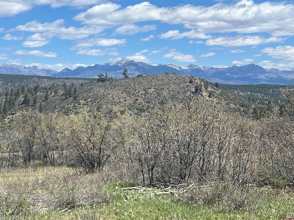 1030D County Road 139 Pagosa Springs CO 81147