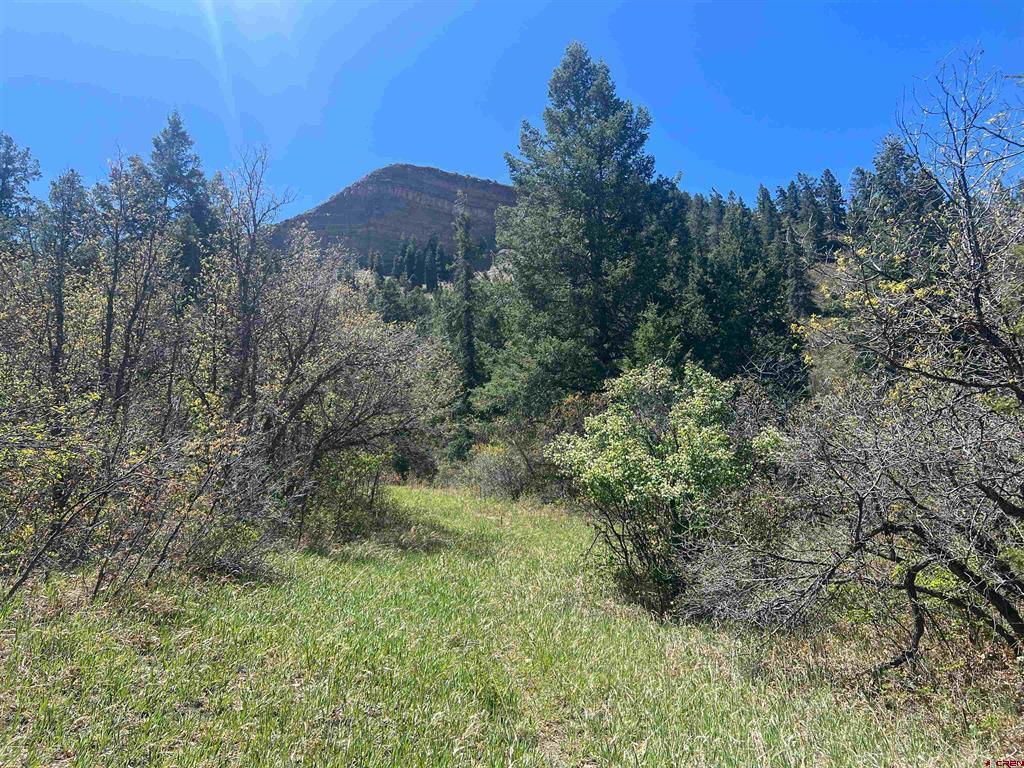 1030D County Road 139 Pagosa Springs CO 81147