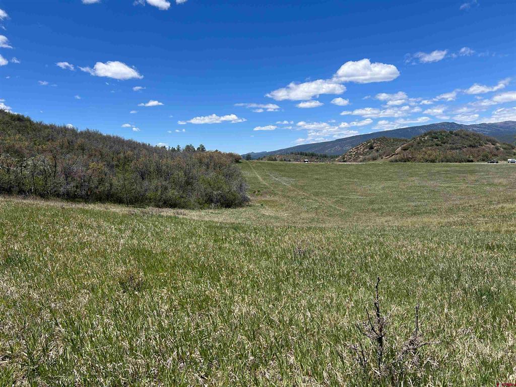 1030D County Road 139 Pagosa Springs CO 81147