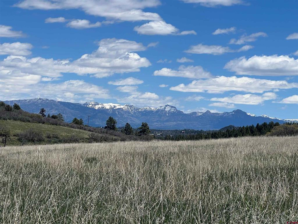 1030D County Road 139 Pagosa Springs CO 81147